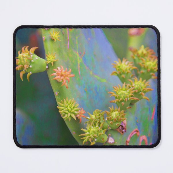 Item preview, Texas Cactus 1 designed and sold by bertsworks300.