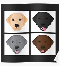 Labradorz Poster