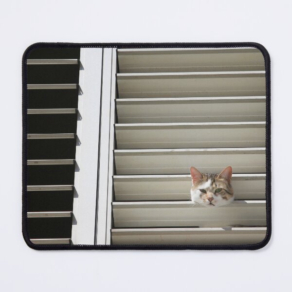 Item preview, Cat curiosity designed and sold by Pino 'Delfino' Esposito.