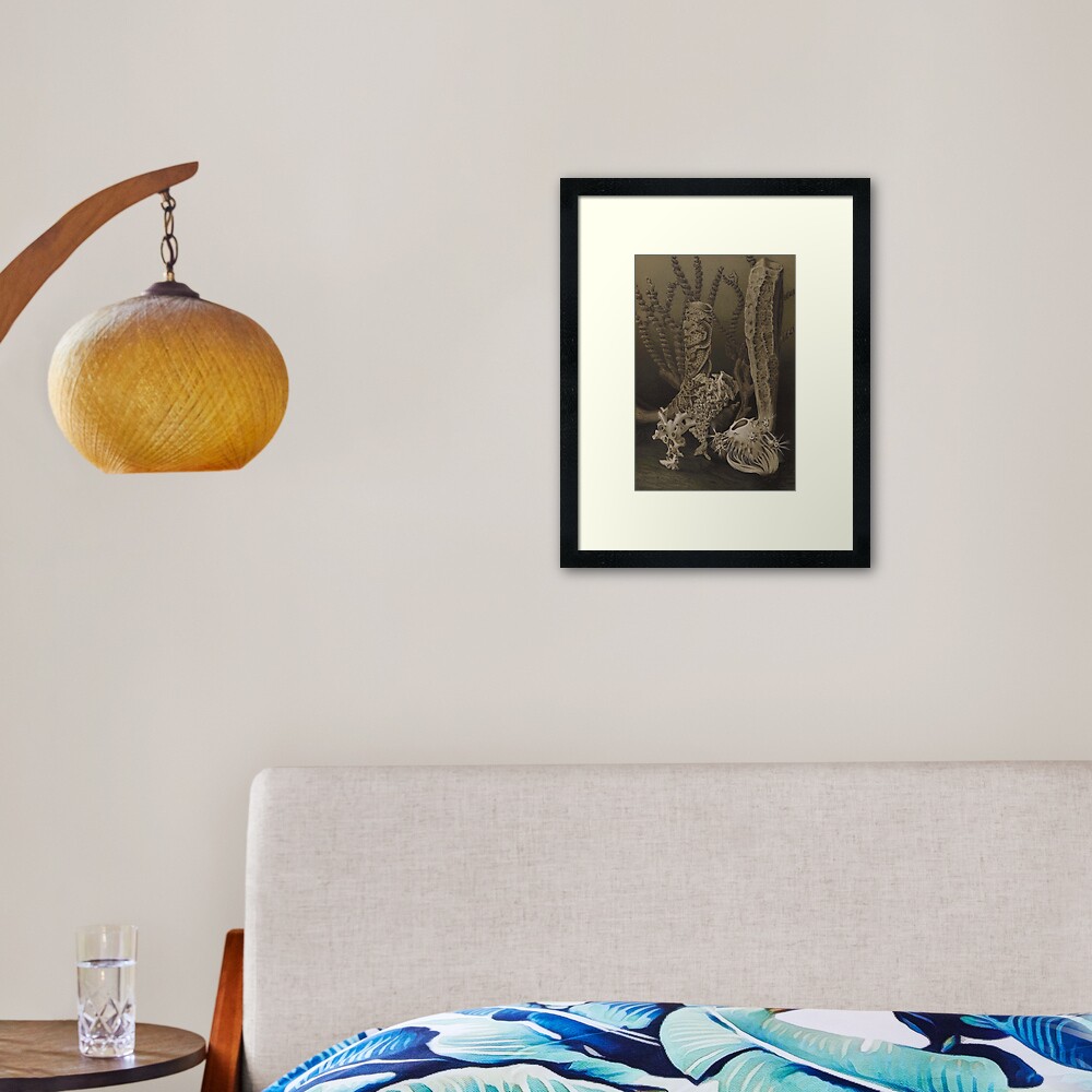 Naturalist Glass Sponges Framed Art Print