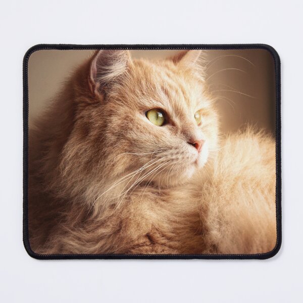 Item preview, Portrait of Mr. Cesare in the sunset light designed and sold by Pino 'Delfino' Esposito.