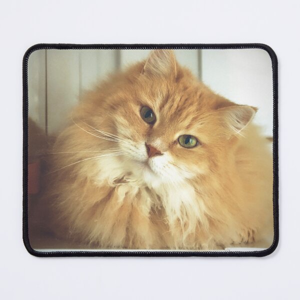 Item preview, Siberian cat. Portrait of Mr. Cesare designed and sold by Pino 'Delfino' Esposito.
