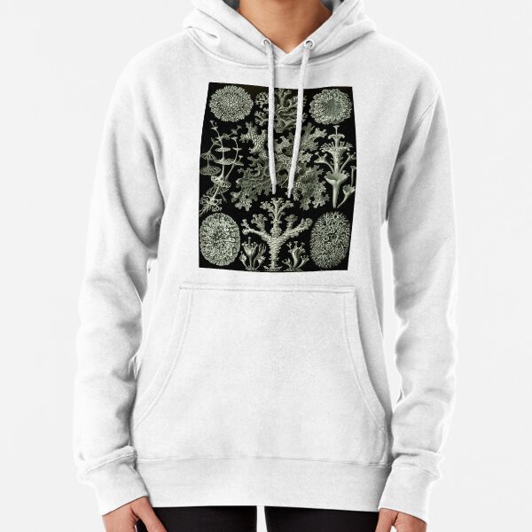 Natural History Lichen Pullover Hoodie