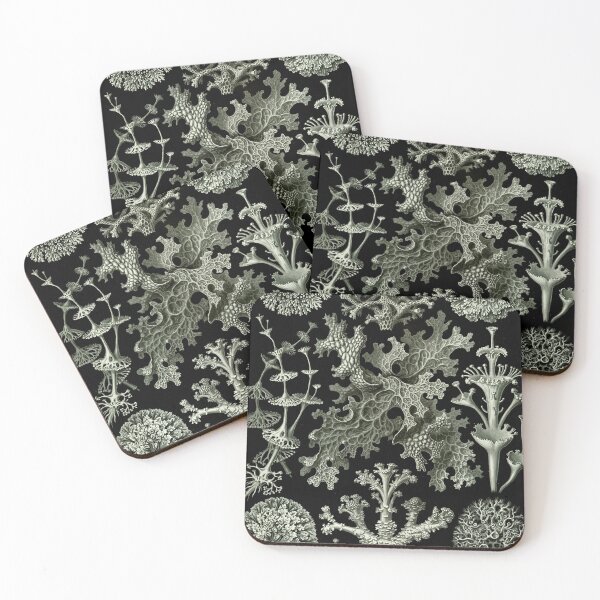 Item preview, Natural History Lichen designed and sold by BlueSpecsStudio.