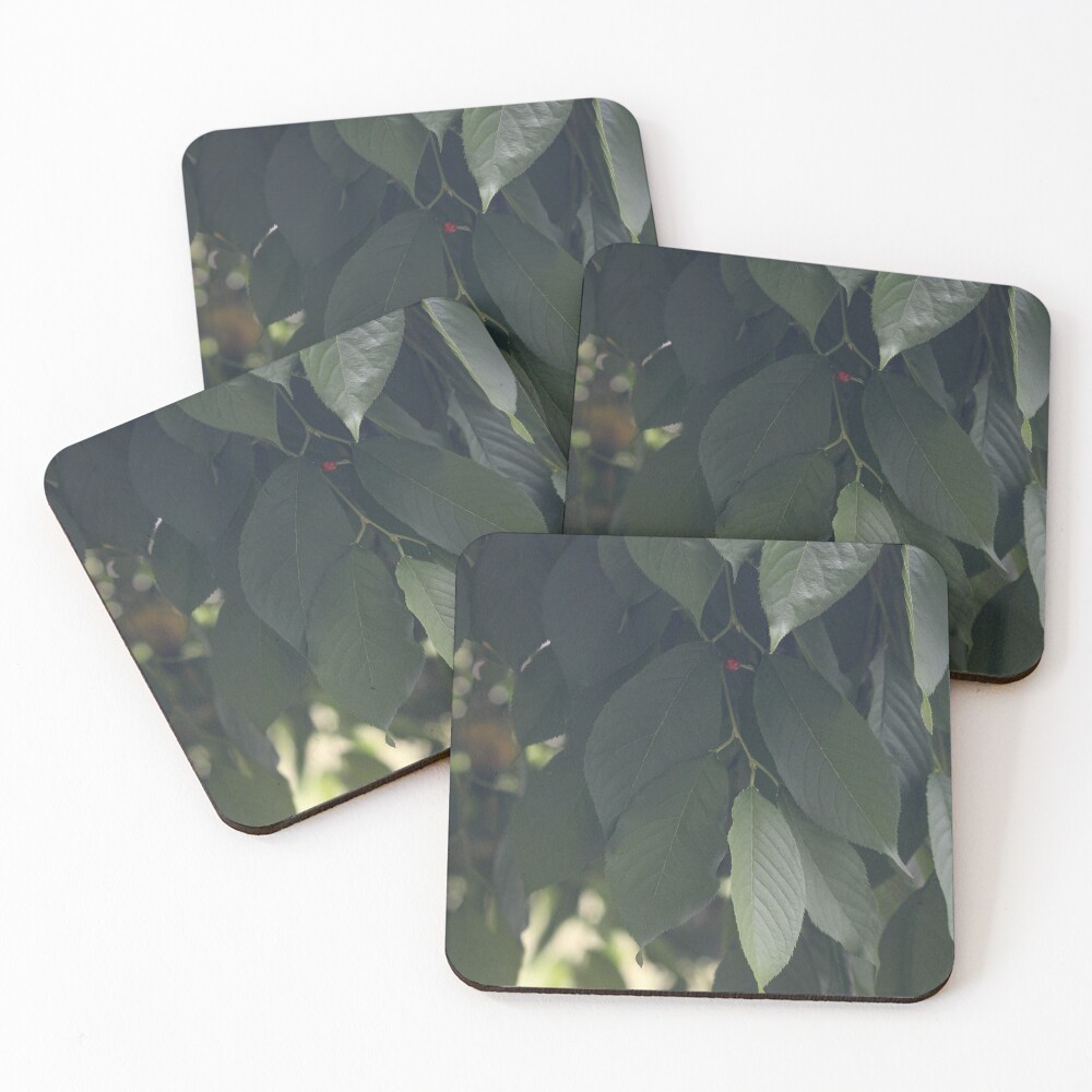 Item preview, Coasters (Set of 4) designed and sold by OneCreativePup.