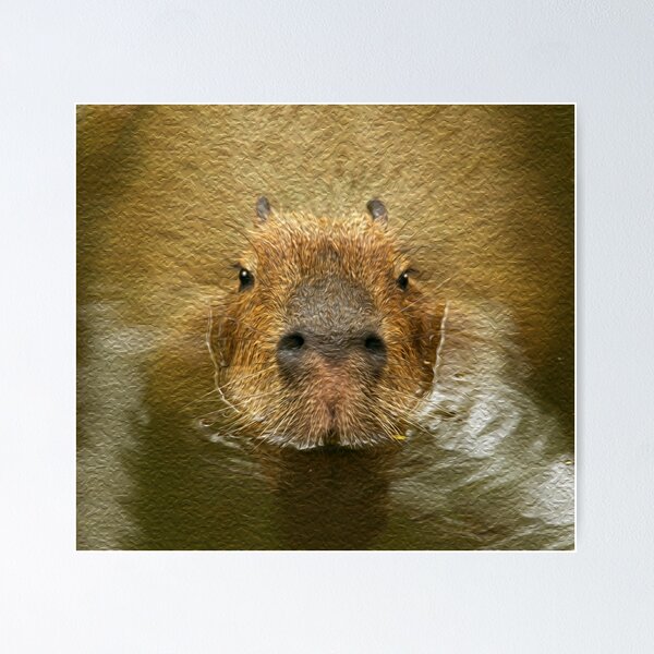 Clara the capybara sings her favourite song