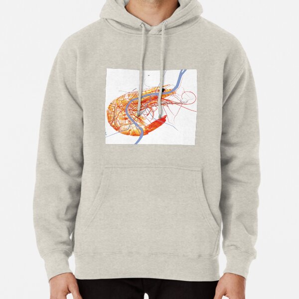 Basel Citymap Artwork | SHRIMP Hoodie