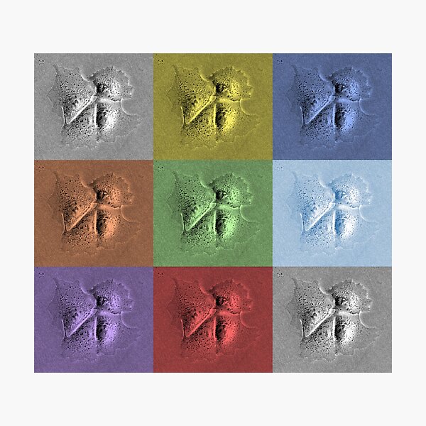 Item preview, Pastel Cell Panel - Art By Science designed and sold by ArtByScience.