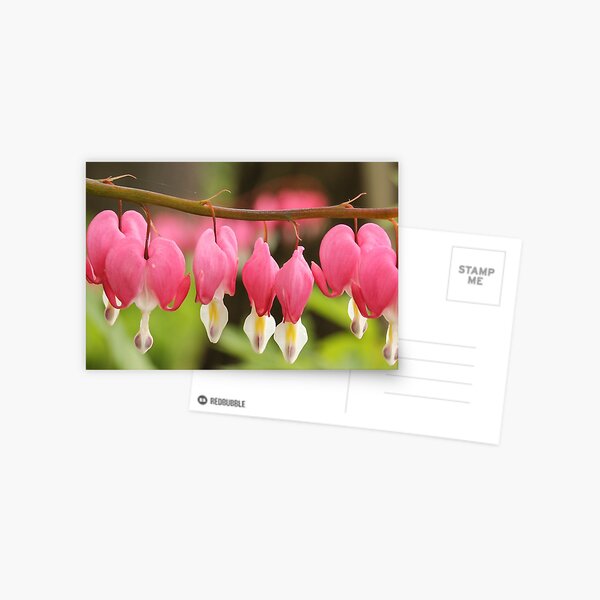 Item preview, Bleeding Hearts designed and sold by Gary Horner.