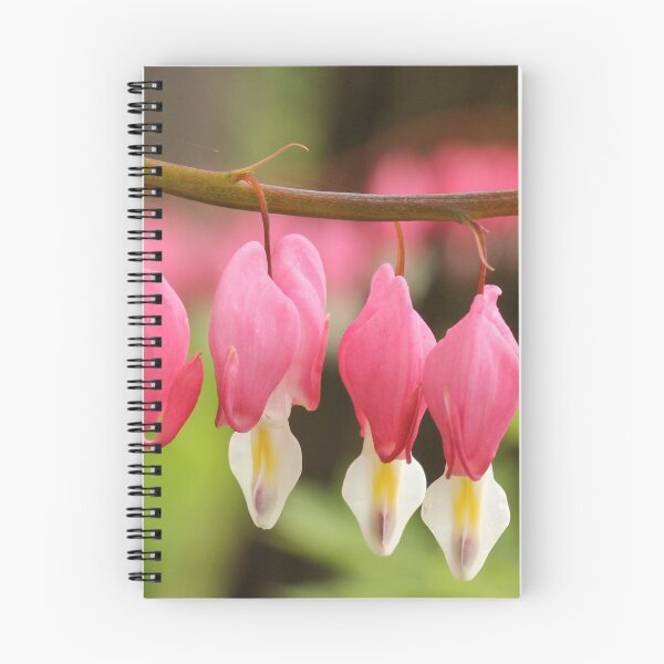 Item preview, Bleeding Hearts designed and sold by Gary Horner.