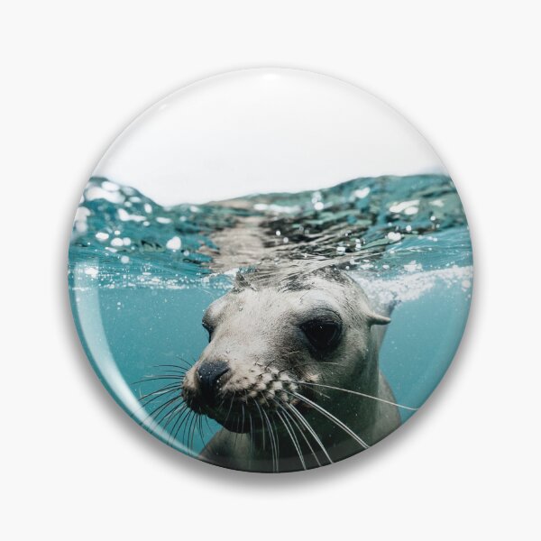 Item preview, young seal pup in cornwall designed and sold by ydsdesigns.