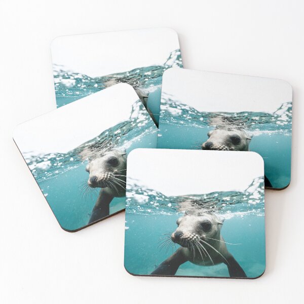 Item preview, young seal pup in cornwall designed and sold by ydsdesigns.