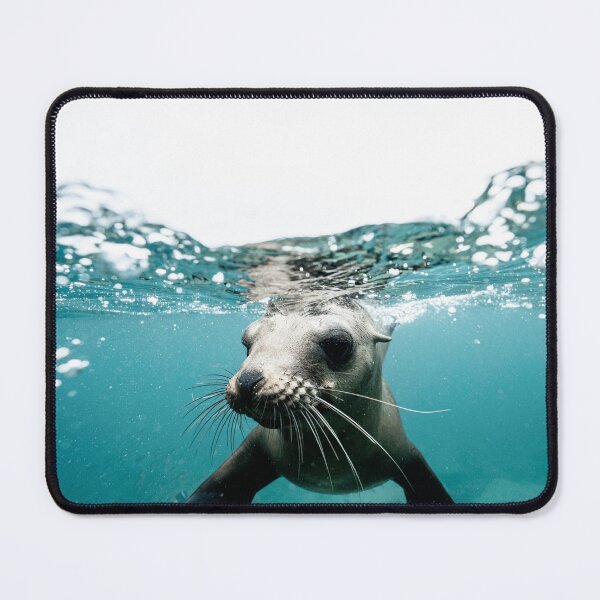 Item preview, young seal pup in cornwall designed and sold by ydsdesigns.