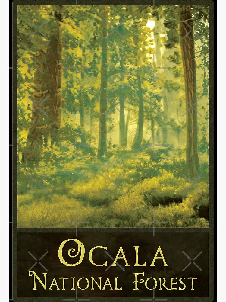 "Ocala National Forest" Poster for Sale by JordanHolmes Redbubble