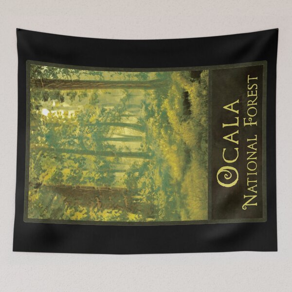 Item preview, Ocala National Forest designed and sold by JordanHolmes.