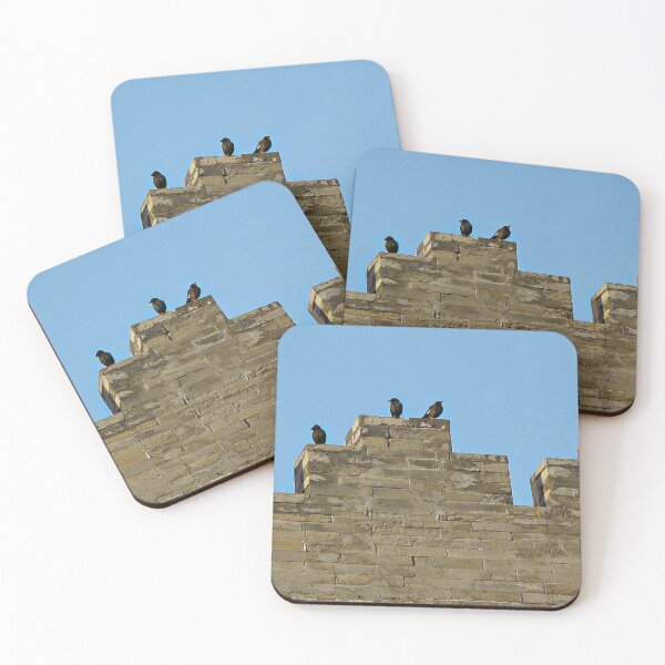 Item preview, Pájaros de la pared designed and sold by Ethna Gillespie.