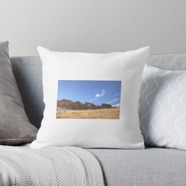 Devil's Backbone Throw Pillow