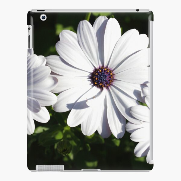 Purple and White Daisys iPad Snap Case