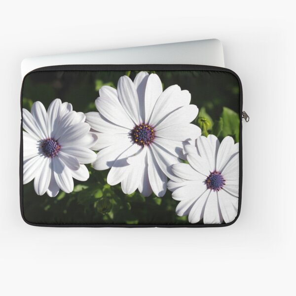 Purple and White Daisys Laptop Sleeve