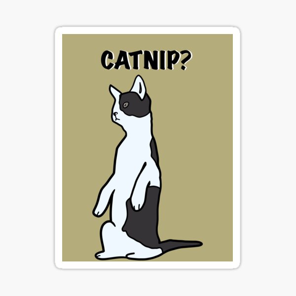 "Catnip?" Sticker for Sale by 01JayArts | Redbubble