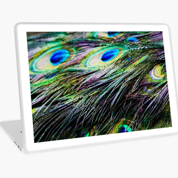 Peacock Pattern Laptop Skin