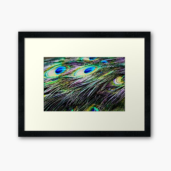 Peacock Pattern Framed Art Print
