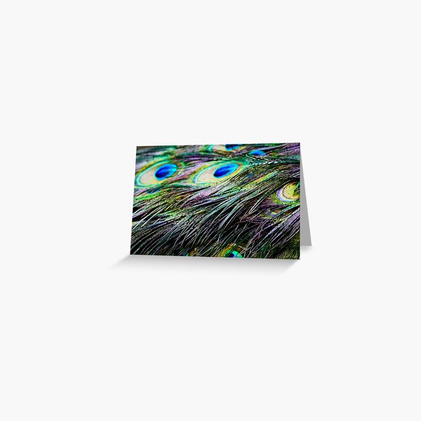 Peacock Pattern Greeting Card