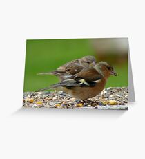 You Make It Look So Easy! - Chaffinch & Sparrow - NZ Greeting Card