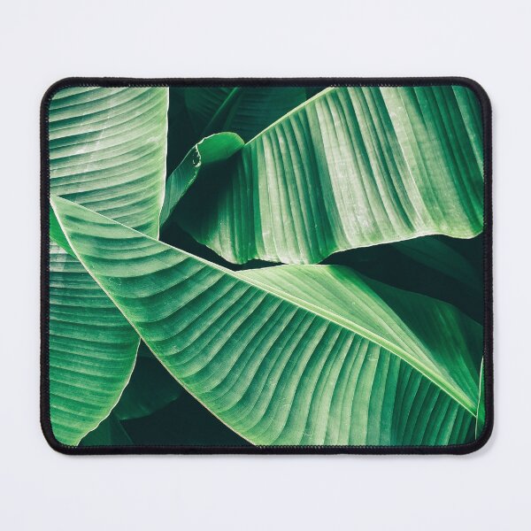 Item preview, Tropical Banana Palm Leaf designed and sold by cgroenewald.