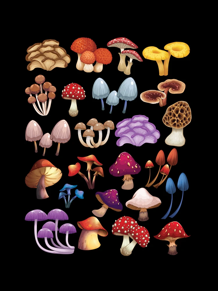 Lil' Mushroom Forest – SumLilThings