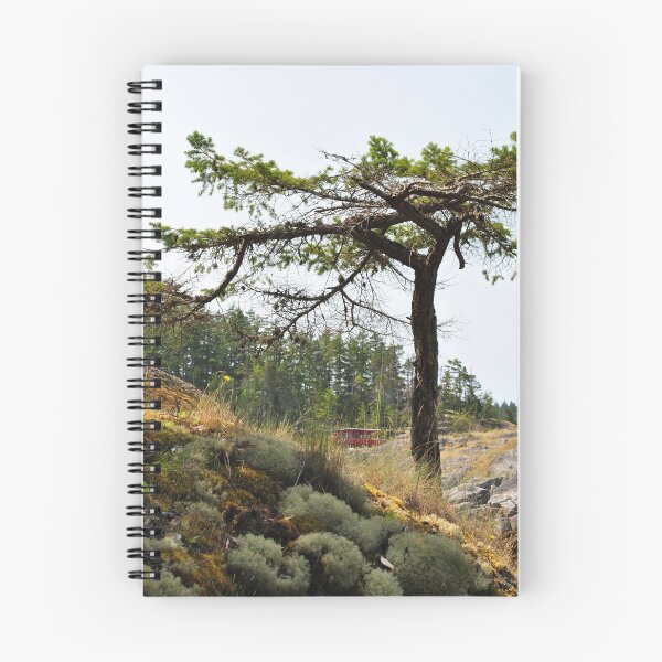Item preview, Smuggler's Cove hike designed and sold by JennaKnight.