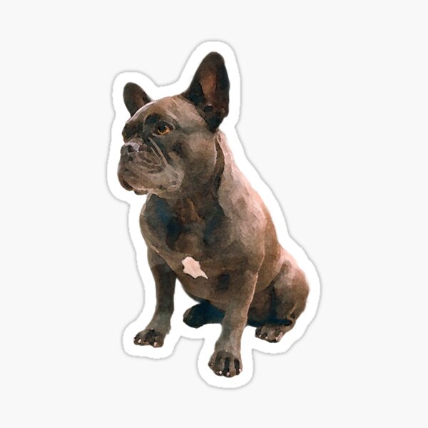 Watercolor French Bulldog Sticker