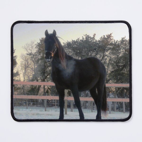 Item preview, TipToe designed and sold by Nathan Gruber.