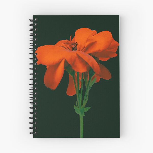 Item preview, Red Geranium Over Black designed and sold by DFLC Prints.