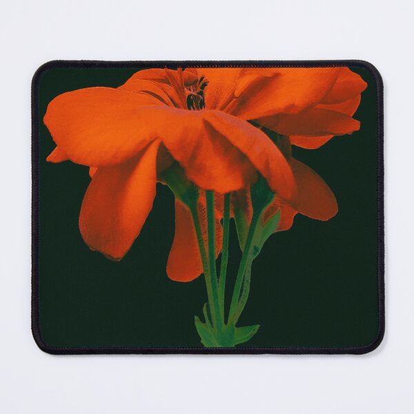 Item preview, Red Geranium Over Black designed and sold by DFLC Prints.