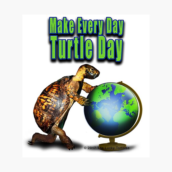 Turtle Day Photographic Print