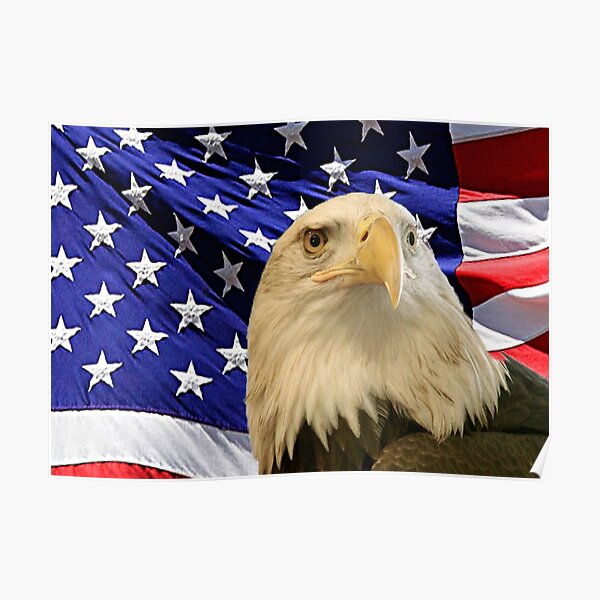 American Bald Eagle and Flag, RBSSG Poster