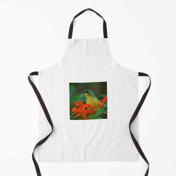 Item preview, Collared Sunbird designed and sold by Anthony Goldman.