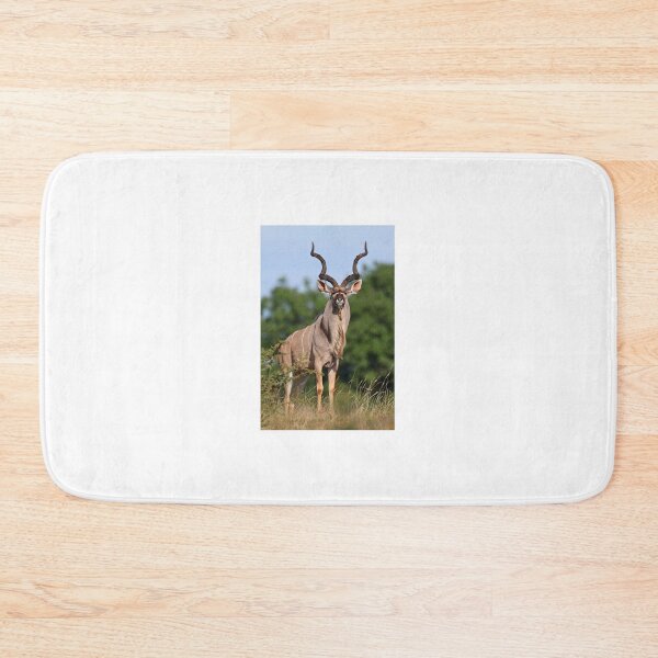 Item preview, Male Kudu designed and sold by Anthony Goldman.