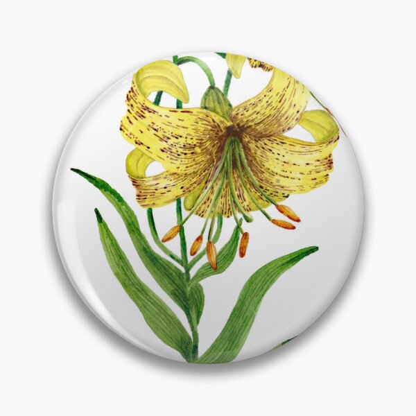 Item preview, Lilium bosniacum designed and sold by PetitMartin.