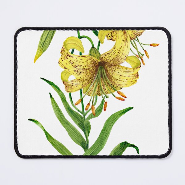 Item preview, Lilium bosniacum designed and sold by PetitMartin.