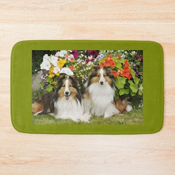 Item preview, Two Shetland Sheepdogs, together in a garden. designed and sold by ScienceSource.