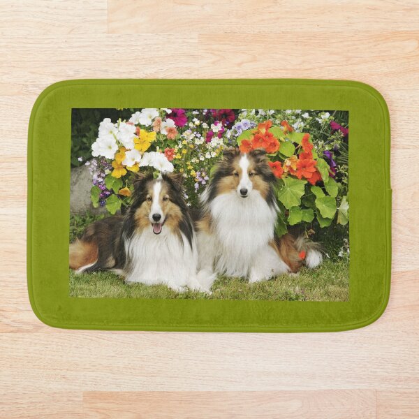 Item preview, Dos perros pastores de Shetland, juntos en un jardín. designed and sold by ScienceSource.