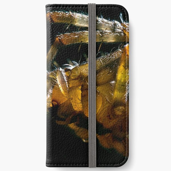 Arachnaphobia iPhone Wallet