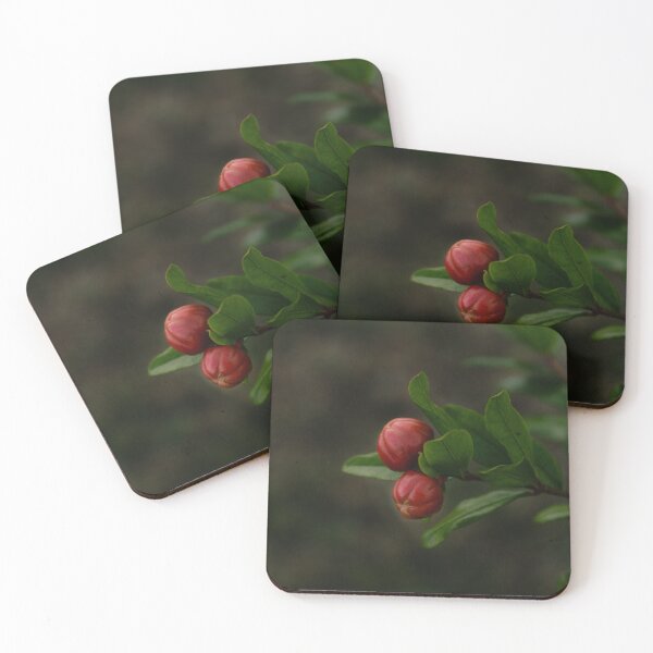 Item preview, Pomegranate flower before blooming designed and sold by TheNinthMemory.