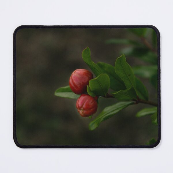Item preview, Pomegranate flower before blooming designed and sold by TheNinthMemory.