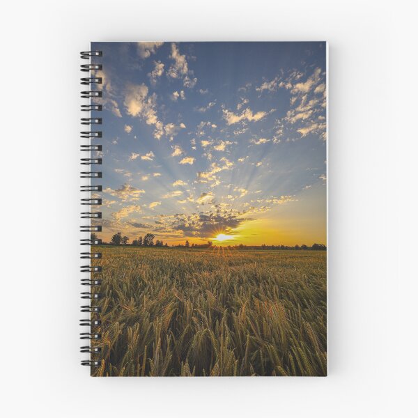 Item preview, Sunset at the cornfield designed and sold by Pietschi2022.