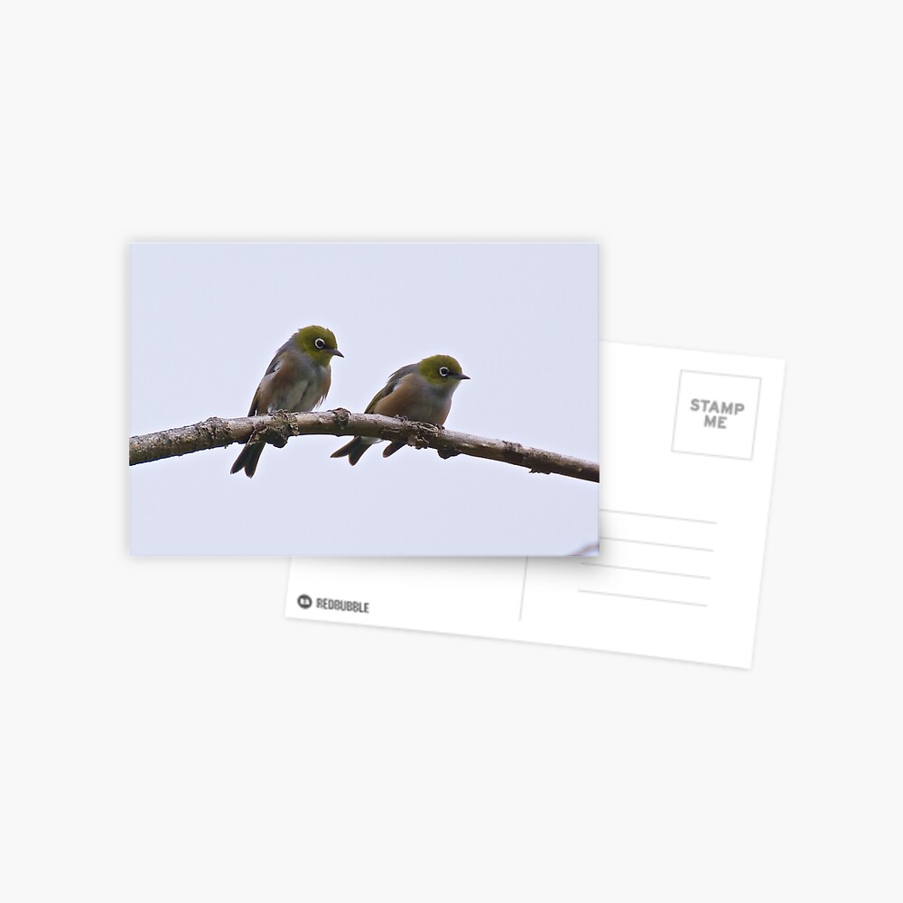 Item preview, Postcard designed and sold by tasmanianartist.
