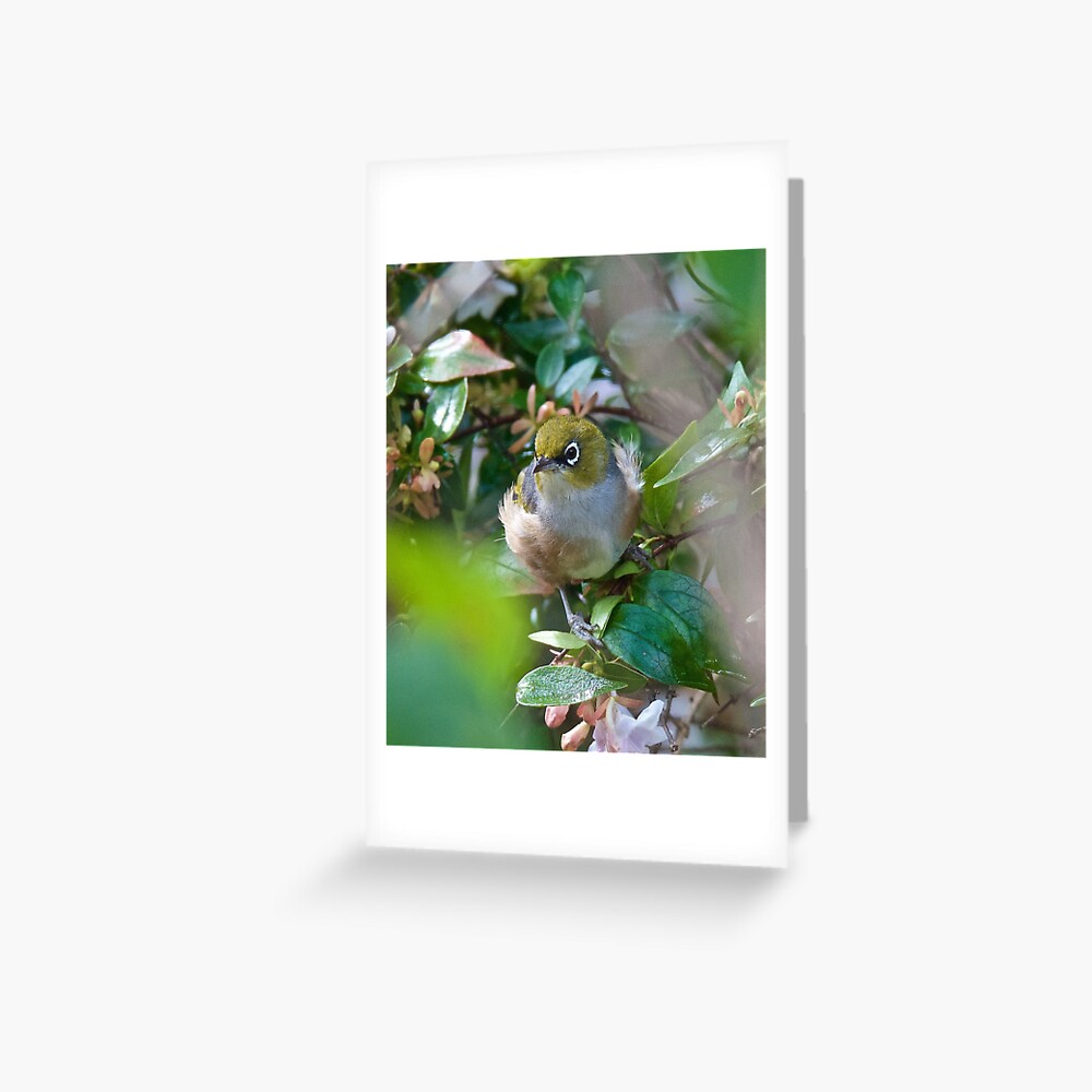 Item preview, Greeting Card designed and sold by tasmanianartist.