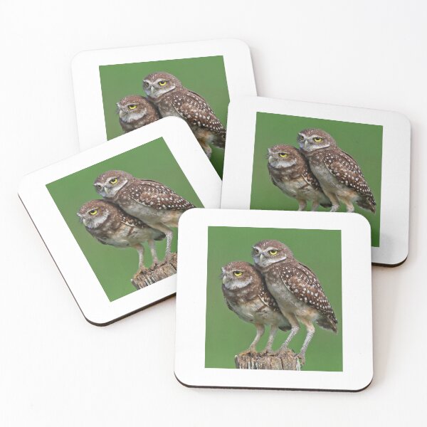 Item preview, Burrowing Owls designed and sold by Anthony Goldman.